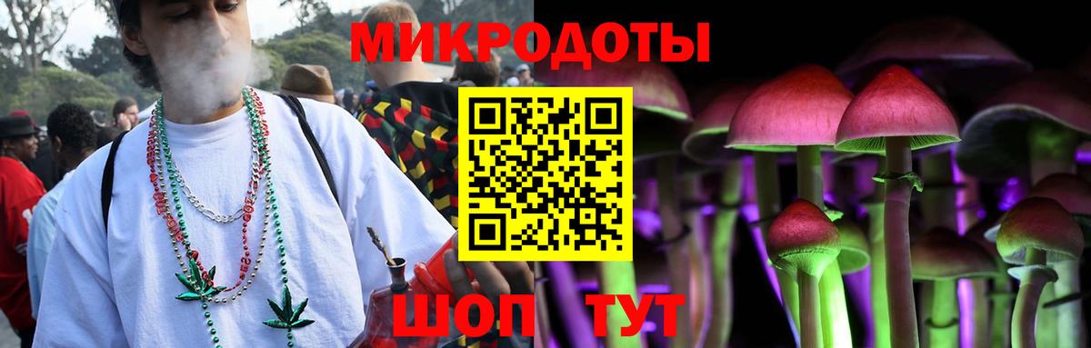 Галлюциногенные грибы Psilocybine cubensis  Вход с VPN  Луга 